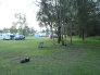 robs009035.jpg